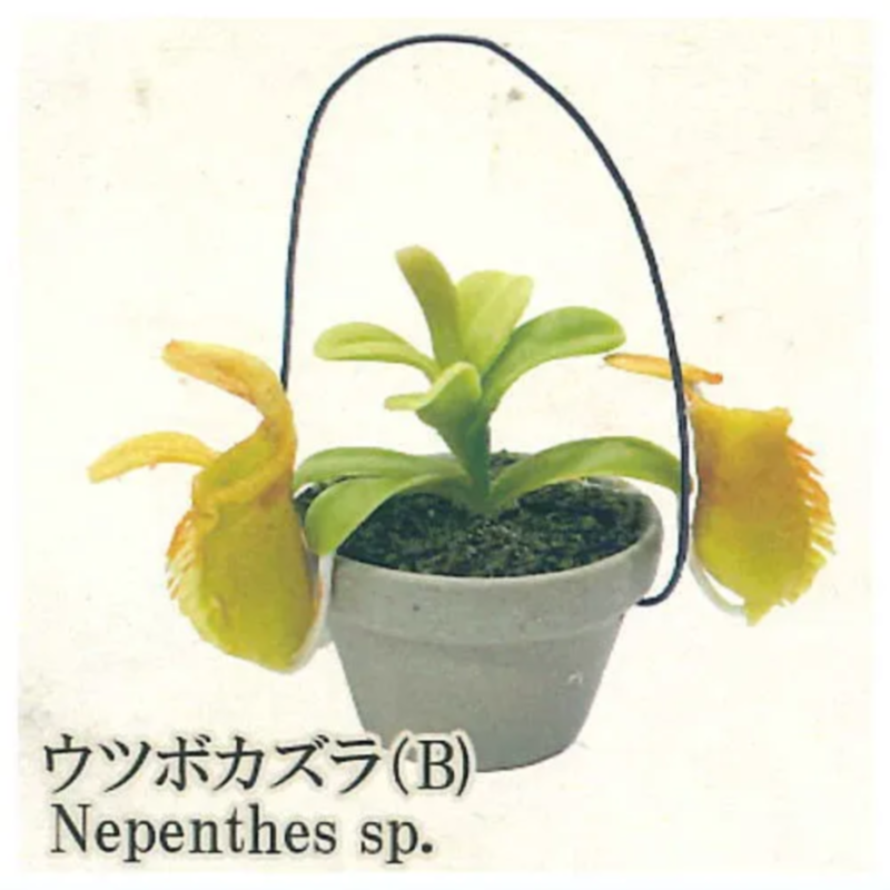 Japan Rainbow Gashapon Capsule - đánh giá và giá Capsule Toy Gashapon