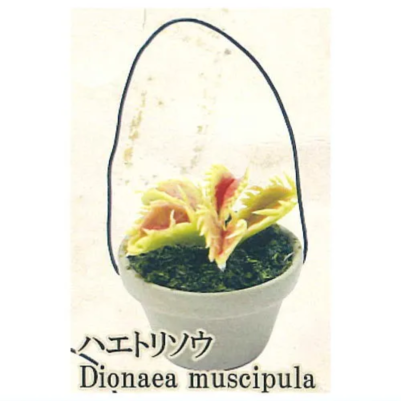 Japan Rainbow Gashapon Capsule - đánh giá và giá Capsule Toy Gashapon